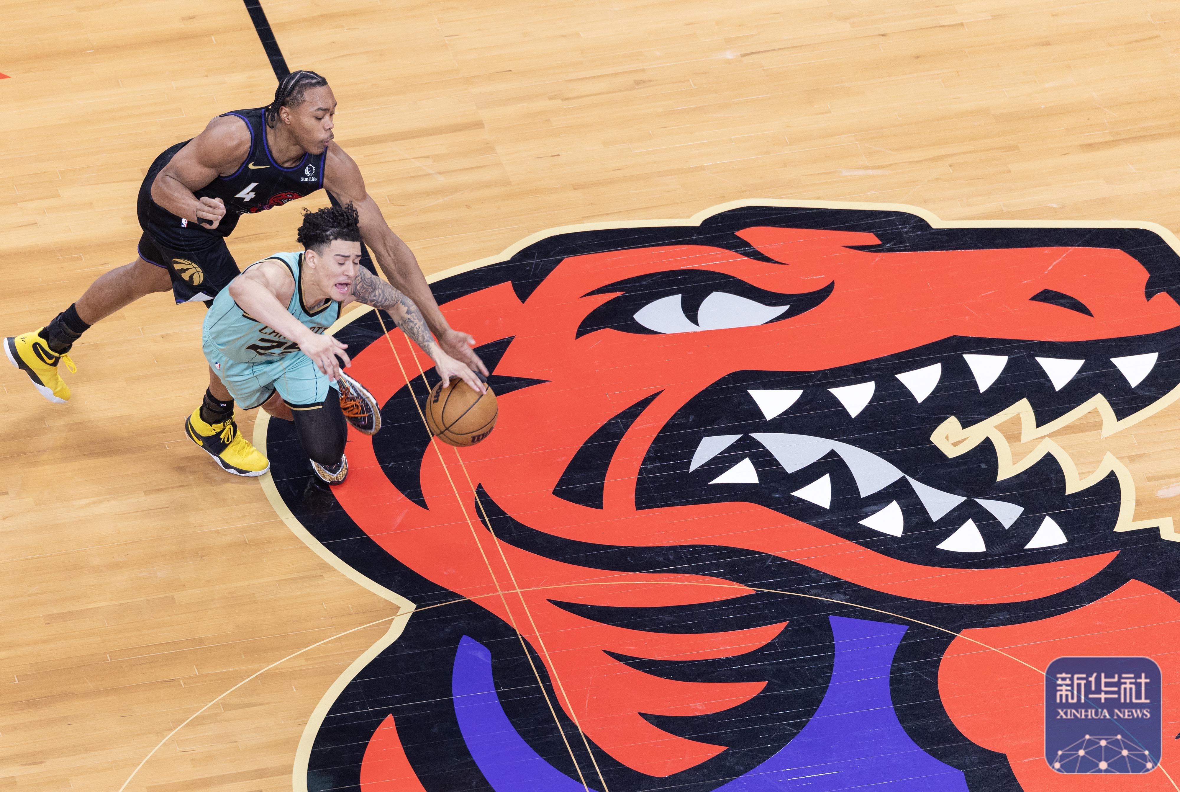 开云官方app入口-猛龙不敌篮网，篮网获得胜利