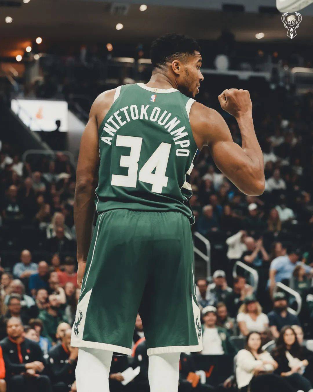 雄鹿力克灰熊，字母哥31分9篮板